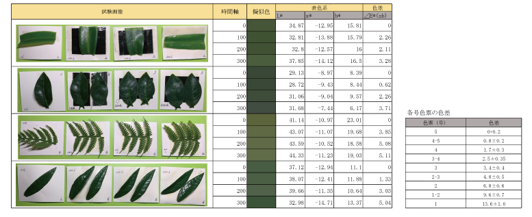 耐光試験結果